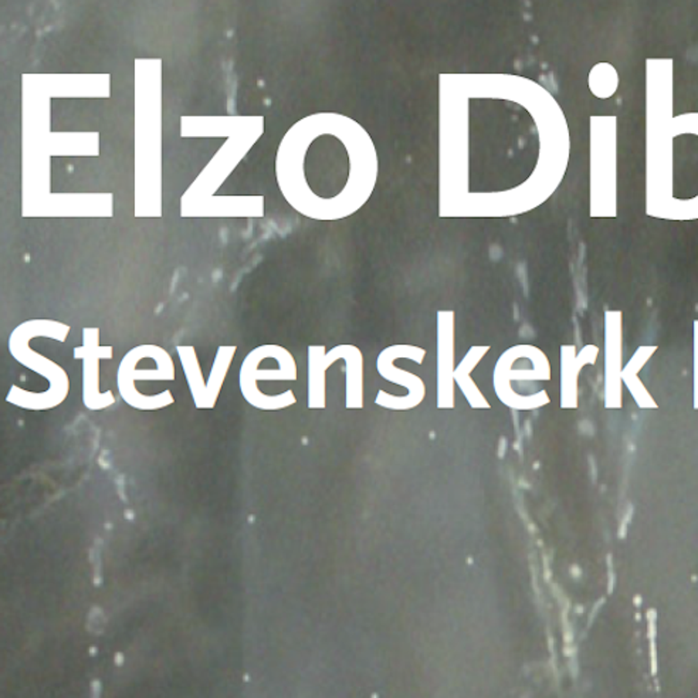 Elzo Dibbets | Ruimtelijk realistisch