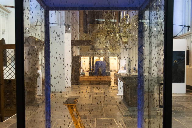 Ver & Nabij |
Marcel van Brakel (Polymorrf) vertelt en nodigt u uit!