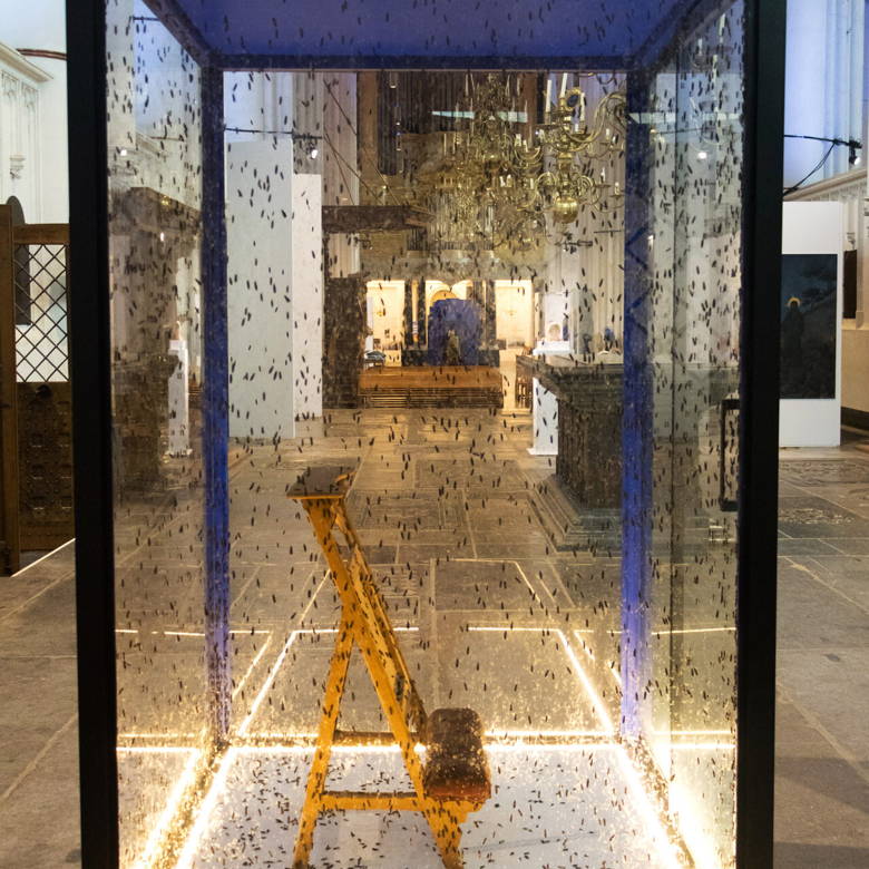 Ver & Nabij |
Marcel van Brakel (Polymorf) vertelt en nodigt u uit!