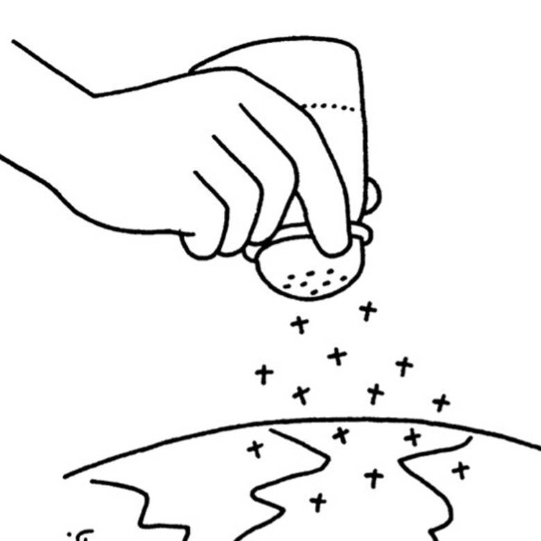 Viering 
8 februari