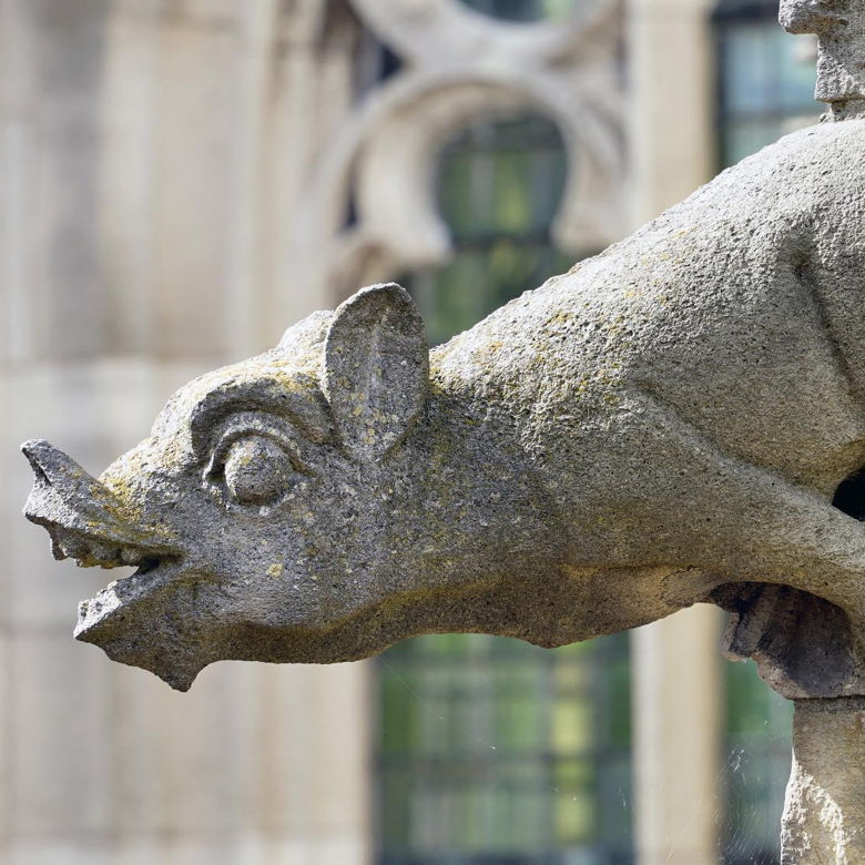 Stevenskerk voor basisscholen