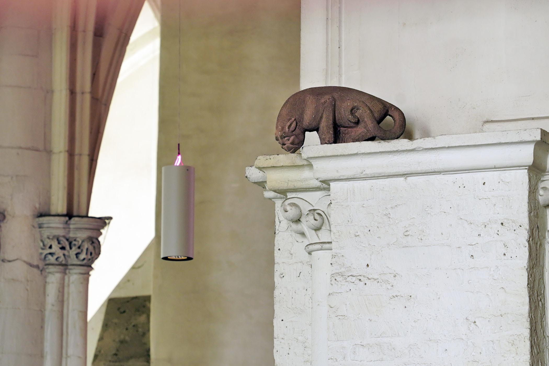 De Arnhemse kat in de Nijmeegse Stevenskerk