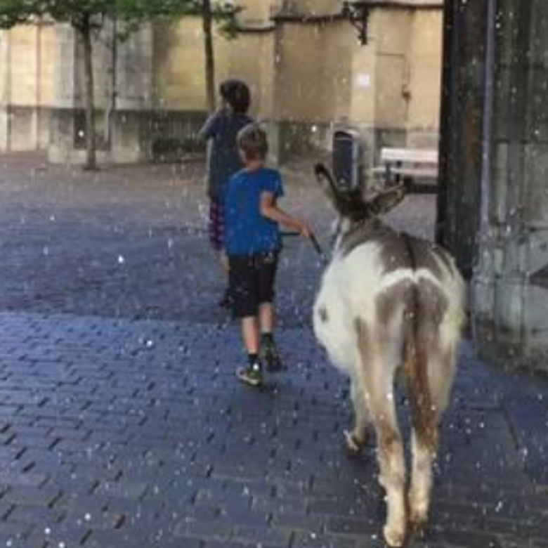 Kinderkerstfeest (online)